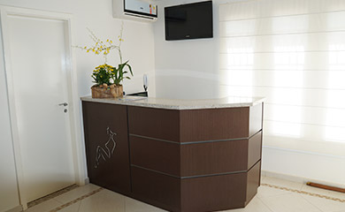 Gallery Img